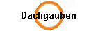 Dachgauben